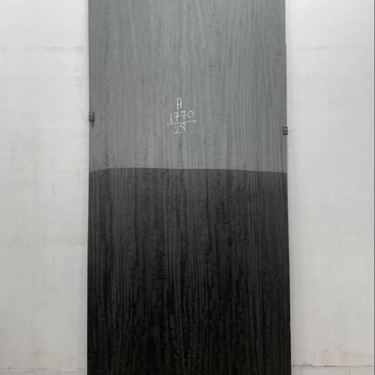 DYED ECULYETUS (10 X 4) 2